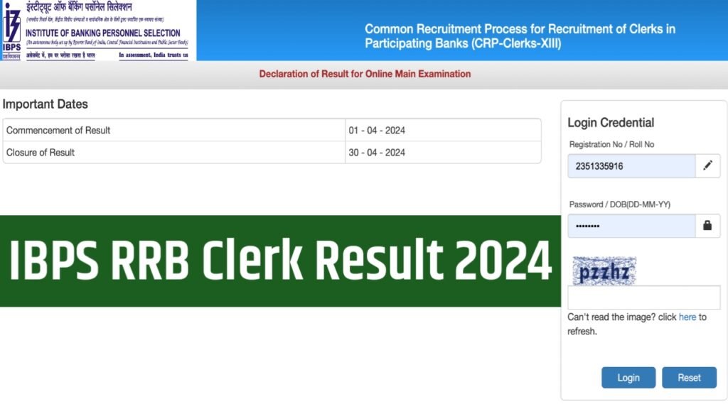 IBPS RRB Clerk Result 2024, Check Prelims Scorecard, Marks Direct Link @ibps.in